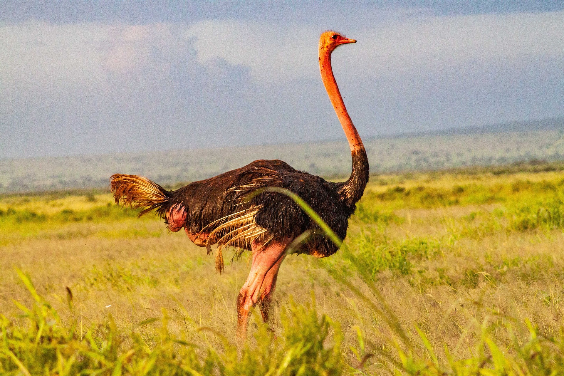 Arusha National Park