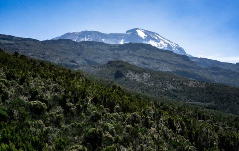 Kilimanjaro Climb – 11 Days via Northern Circuit Route