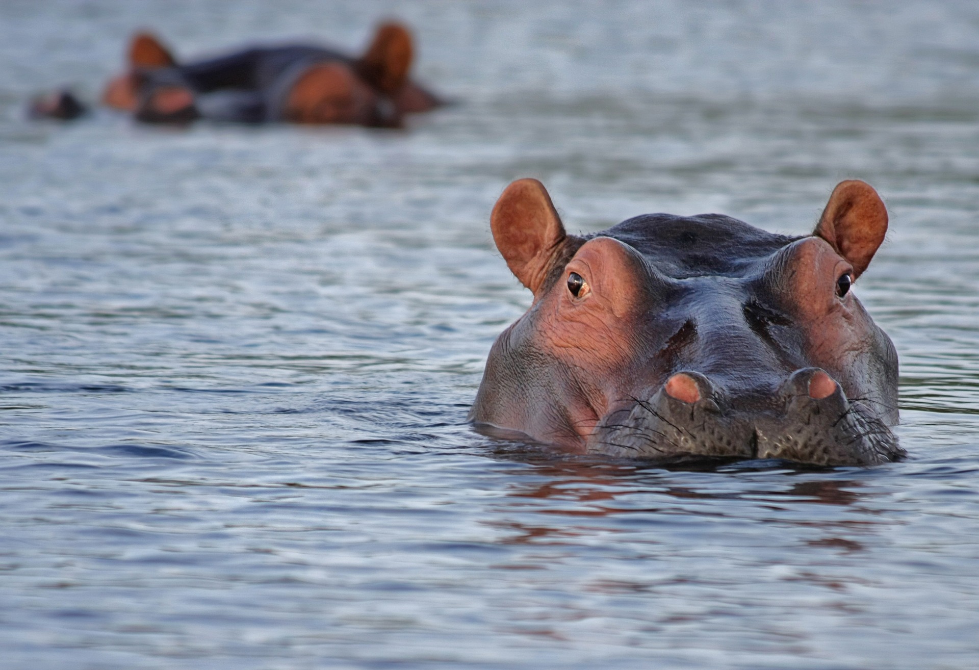 Lake Manyara National Park