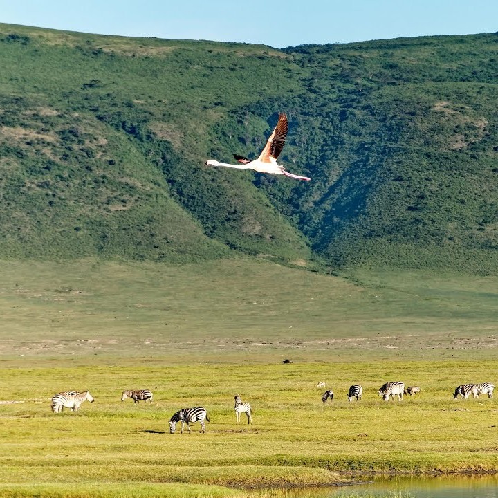 Ngorongoro Crater