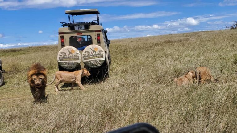 Why the Off-Season is the New Peak Season in Tanzania