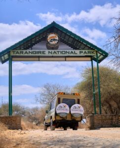 2-DAY/1 NIGHT COMFORT SAFARI TO TARANGIRE & NGORONGORO CRATER.