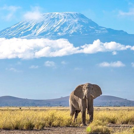 Mount Kilimanjaro