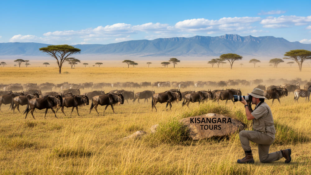 tanzania migration season