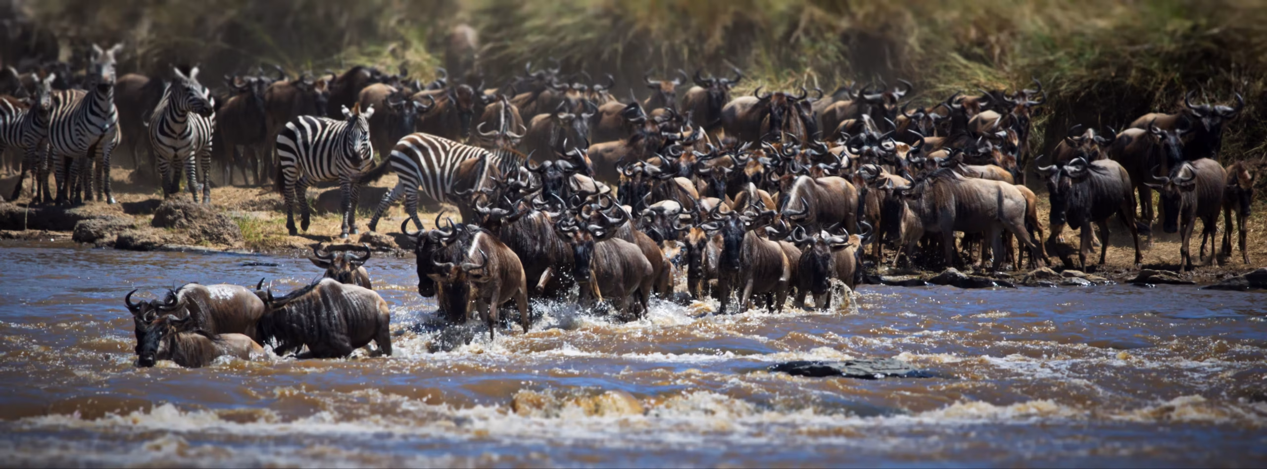 Great Migration