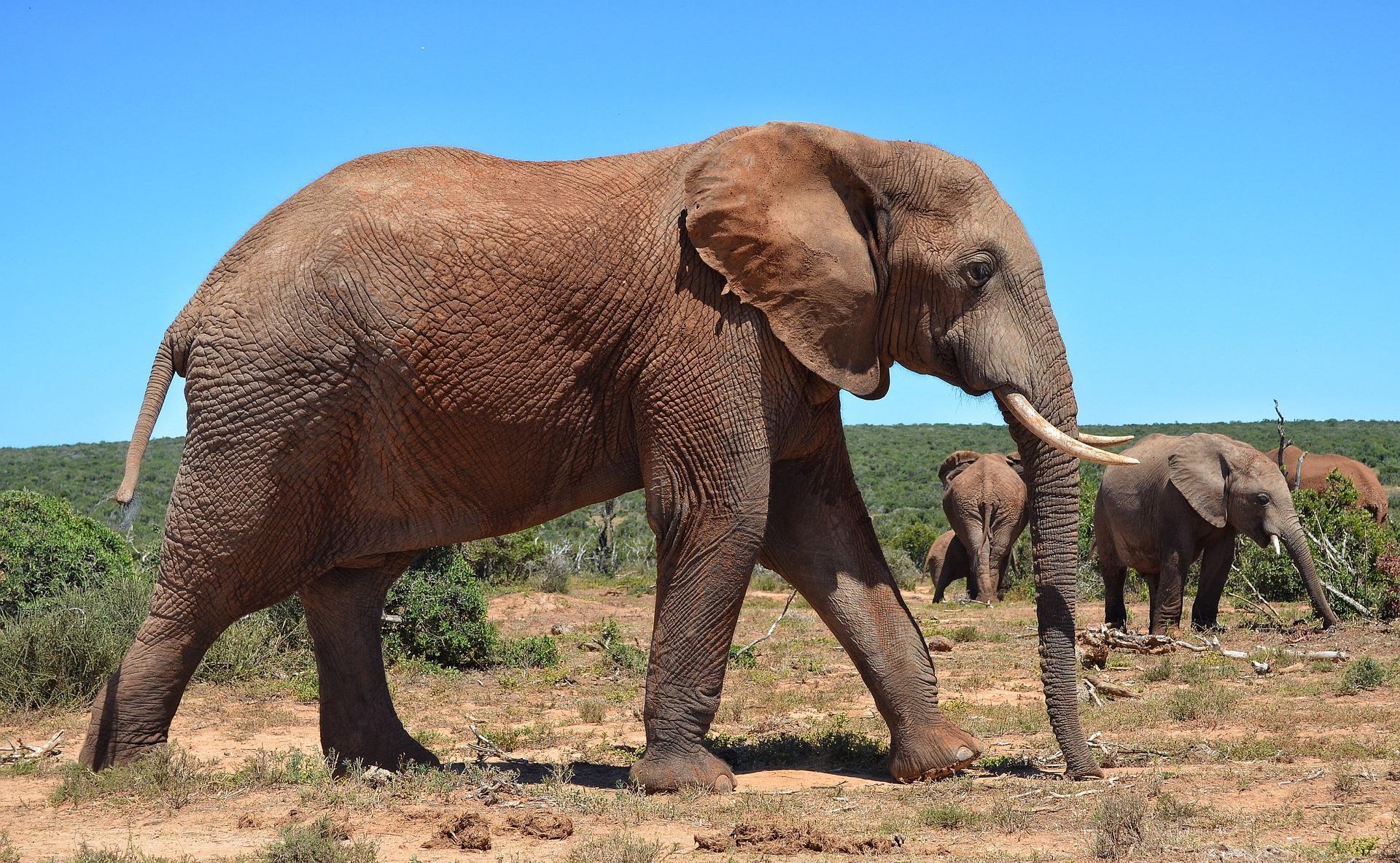 Tarangire National Park