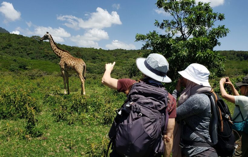 3 Days Tour: Arusha National Park, Coffee Experience & Cultural Exploration