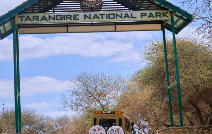 7 Days Grand Tanzania Safari: Tarangire, Serengeti, Ngorongoro & Manyara