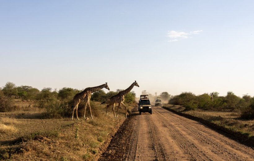 8 Days Best Tanzania Wildlife Adventure