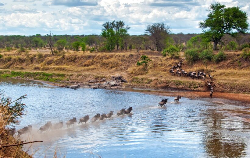 9 Days Great Migration in Serengeti and Zanzibar Beach