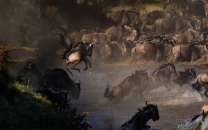 14 Days Kenya to Tanzania Big Five Safari Expedition