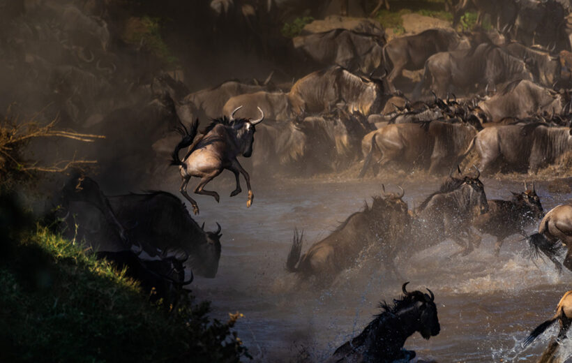 14 Days Kenya to Tanzania Big Five Safari Expedition