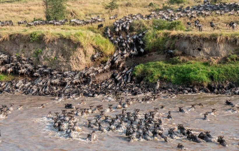 8 Days – Great Migration & Ngorongoro Explorer